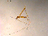  ( - 10PROBE-11869)  @12 [ ] CreativeCommons - Attribution (2011) CBG Photography Group Centre for Biodiversity Genomics