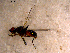  ( - 10PROBE-11940)  @12 [ ] CreativeCommons - Attribution (2011) CBG Photography Group Centre for Biodiversity Genomics
