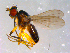  ( - 10PROBE-12118)  @13 [ ] CreativeCommons - Attribution (2011) CBG Photography Group Centre for Biodiversity Genomics