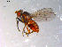  ( - 10PROBE-12119)  @13 [ ] CreativeCommons - Attribution (2011) CBG Photography Group Centre for Biodiversity Genomics