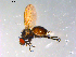  ( - 10PROBE-12245)  @14 [ ] CreativeCommons - Attribution (2011) CBG Photography Group Centre for Biodiversity Genomics