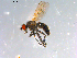  ( - 10PROBE-12304)  @13 [ ] CreativeCommons - Attribution (2011) CBG Photography Group Centre for Biodiversity Genomics
