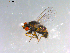  ( - 10PROBE-12422)  @13 [ ] CreativeCommons - Attribution (2011) CBG Photography Group Centre for Biodiversity Genomics