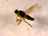  ( - 10PROBE-12473)  @12 [ ] CreativeCommons - Attribution (2011) CBG Photography Group Centre for Biodiversity Genomics