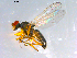  ( - 10PROBE-12579)  @13 [ ] CreativeCommons - Attribution (2011) CBG Photography Group Centre for Biodiversity Genomics