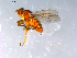  ( - 10PROBE-12583)  @12 [ ] CreativeCommons - Attribution (2011) CBG Photography Group Centre for Biodiversity Genomics