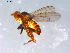  ( - 10PROBE-12584)  @12 [ ] CreativeCommons - Attribution (2011) CBG Photography Group Centre for Biodiversity Genomics