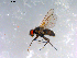  ( - 10PROBE-12613)  @13 [ ] CreativeCommons - Attribution (2011) CBG Photography Group Centre for Biodiversity Genomics