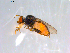  ( - 10PROBE-12989)  @13 [ ] CreativeCommons - Attribution (2011) CBG Photography Group Centre for Biodiversity Genomics