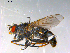  ( - 10PROBE-13000)  @13 [ ] CreativeCommons - Attribution (2011) CBG Photography Group Centre for Biodiversity Genomics