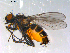  ( - 10PROBE-13014)  @13 [ ] CreativeCommons - Attribution (2011) CBG Photography Group Centre for Biodiversity Genomics