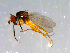 ( - 10PROBE-13041)  @13 [ ] CreativeCommons - Attribution (2011) CBG Photography Group Centre for Biodiversity Genomics
