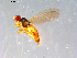  ( - 10PROBE-13045)  @12 [ ] CreativeCommons - Attribution (2011) CBG Photography Group Centre for Biodiversity Genomics