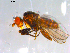  ( - 10PROBE-13062)  @12 [ ] CreativeCommons - Attribution (2011) CBG Photography Group Centre for Biodiversity Genomics