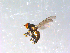  ( - 10PROBE-13111)  @12 [ ] CreativeCommons - Attribution (2011) CBG Photography Group Centre for Biodiversity Genomics
