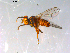  ( - 10PROBE-13142)  @13 [ ] CreativeCommons - Attribution (2011) CBG Photography Group Centre for Biodiversity Genomics