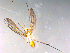  ( - 10PROBE-13161)  @12 [ ] CreativeCommons - Attribution (2011) CBG Photography Group Centre for Biodiversity Genomics