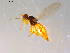  ( - 10PROBE-13220)  @13 [ ] CreativeCommons - Attribution (2011) CBG Photography Group Centre for Biodiversity Genomics