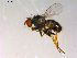  ( - 10PROBE-13228)  @13 [ ] CreativeCommons - Attribution (2011) CBG Photography Group Centre for Biodiversity Genomics