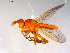  ( - 10PROBE-13337)  @12 [ ] CreativeCommons - Attribution (2011) CBG Photography Group Centre for Biodiversity Genomics
