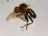  ( - 10PROBE-13352)  @12 [ ] CreativeCommons - Attribution (2011) CBG Photography Group Centre for Biodiversity Genomics