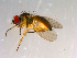  ( - 10PROBE-13396)  @13 [ ] CreativeCommons - Attribution (2011) CBG Photography Group Centre for Biodiversity Genomics