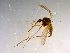  ( - 10PROBE-13414)  @13 [ ] CreativeCommons - Attribution (2011) CBG Photography Group Centre for Biodiversity Genomics