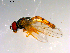  ( - 10PROBE-13458)  @13 [ ] CreativeCommons - Attribution (2011) CBG Photography Group Centre for Biodiversity Genomics