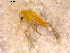  ( - 10PROBE-13480)  @12 [ ] CreativeCommons - Attribution (2011) CBG Photography Group Centre for Biodiversity Genomics