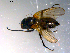  ( - 10PROBE-13604)  @13 [ ] CreativeCommons - Attribution (2011) CBG Photography Group Centre for Biodiversity Genomics