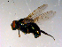  ( - 10PROBE-13797)  @12 [ ] CreativeCommons - Attribution (2011) CBG Photography Group Centre for Biodiversity Genomics