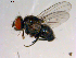  ( - 10PROBE-13813)  @13 [ ] CreativeCommons - Attribution (2011) CBG Photography Group Centre for Biodiversity Genomics