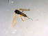 ( - 10PROBE-13858)  @13 [ ] CreativeCommons - Attribution (2011) CBG Photography Group Centre for Biodiversity Genomics