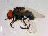  ( - 10PROBE-13941)  @13 [ ] CreativeCommons - Attribution (2011) CBG Photography Group Centre for Biodiversity Genomics