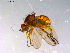  ( - 10PROBE-13995)  @13 [ ] CreativeCommons - Attribution (2011) CBG Photography Group Centre for Biodiversity Genomics