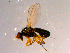  ( - 10PROBE-14084)  @13 [ ] CreativeCommons - Attribution (2011) CBG Photography Group Centre for Biodiversity Genomics