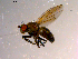  ( - 10PROBE-14134)  @13 [ ] CreativeCommons - Attribution (2011) CBG Photography Group Centre for Biodiversity Genomics