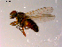  ( - 10PROBE-14227)  @13 [ ] CreativeCommons - Attribution (2011) CBG Photography Group Centre for Biodiversity Genomics
