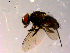  ( - 10PROBE-14239)  @12 [ ] CreativeCommons - Attribution (2011) CBG Photography Group Centre for Biodiversity Genomics