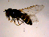  ( - 10PROBE-14269)  @12 [ ] CreativeCommons - Attribution (2011) CBG Photography Group Centre for Biodiversity Genomics