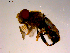  ( - 10PROBE-14274)  @12 [ ] CreativeCommons - Attribution (2011) CBG Photography Group Centre for Biodiversity Genomics