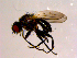  ( - 10PROBE-14282)  @13 [ ] CreativeCommons - Attribution (2011) CBG Photography Group Centre for Biodiversity Genomics