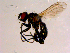  ( - 10PROBE-14299)  @12 [ ] CreativeCommons - Attribution (2011) CBG Photography Group Centre for Biodiversity Genomics