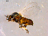  ( - 10PROBE-14323)  @13 [ ] CreativeCommons - Attribution (2011) CBG Photography Group Centre for Biodiversity Genomics