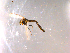  ( - 10PROBE-14331)  @12 [ ] CreativeCommons - Attribution (2011) CBG Photography Group Centre for Biodiversity Genomics