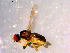  ( - 10PROBE-14384)  @12 [ ] CreativeCommons - Attribution (2011) CBG Photography Group Centre for Biodiversity Genomics