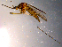  ( - 10PROBE-14389)  @13 [ ] CreativeCommons - Attribution (2011) CBG Photography Group Centre for Biodiversity Genomics
