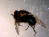  ( - 10PROBE-14434)  @12 [ ] CreativeCommons - Attribution (2011) CBG Photography Group Centre for Biodiversity Genomics