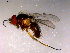  ( - 10PROBE-14461)  @12 [ ] CreativeCommons - Attribution (2011) CBG Photography Group Centre for Biodiversity Genomics