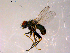  ( - 10PROBE-14544)  @13 [ ] CreativeCommons - Attribution (2011) CBG Photography Group Centre for Biodiversity Genomics